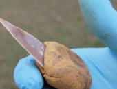 كيف صنع إنسان نياندرتال أدواته منذ 40 ألف عام؟.. دراسة حديثة تجيب