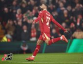 ملخص وأهداف مباراة ليفربول ضد ليل فى دوري أبطال أوروبا