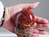 6 استخدامات للخشب المتحجر.. سحر الطبيعة لأقدم حجر كريم فى الكون