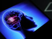 عادات يومية تهدد صحة الدماغ.. اعرف أهمية قضاء وقت مع الأصدقاء