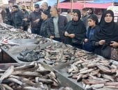 البلطي بكام في السوق؟.. أسعار السمك بالقليوبية اليوم الأحد 1 – 3 – 2026