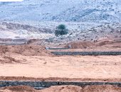 تفاصيل مشروع تنمية المجتمعات الصحراوية في مطروح بتكلفة 61.8 مليون دولار.. تنفيذ مشروعات حصاد الأمطار وتوفير الخدمات للمجتمعات المحلية.. واستصلاح أراضي جديدة في بطون الوديان وتنمية وتأهيل الأراضي القديمة.. صور