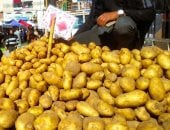 البطاطس بـ20 جنيها.. أسعار الخضراوات بأسواق بورسعيد اليوم الإثنين 6 أبريل 2026