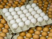 سعر الدواجن والبيض اليوم الجمعة 7-2- 2025 فى كفر الشيخ