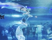 شاهد لحظة هجوم سمكة قرش على فتاة تسبح فى حوض للأسماك بالصين