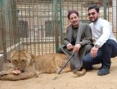 حكاية الأسد "عدى" وزوجته "نانسى" وأول لقاء بـ ابنه الشبل مع "فتحى شو"