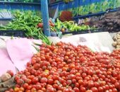 أسعار الخضار والفاكهة اليوم الثلاثاء 15 -4-2025 بمنافذ وزارة التموين