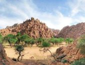 مرسى علم مملكة الطبيعة بالبحر الأحمر