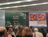 حسام رشوان يكشف عن وثائق مجهولة في مسيرة محمود سعيد وعبد الهادي الجزار