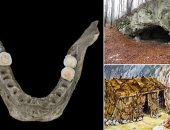 دراسة تكشف: المحاربون القدماء احتفلوا بانتصاراتهم بأكل أدمغة أعدائهم