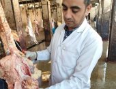 حملات تفتيشية للطب البيطرى فى سوهاج.. وإعدام بقرتين مصابتين بالسل