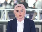 تفاصيل تصور مصر لإعمار غزة وضمان بقاء الفلسطينيين على أرضهم.. فيديو