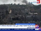 باحثة: مصر ملتزمة بثوابتها الراسخة رسميا وشعبيا بحماية القضية الفلسطينية
