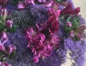 ومن الحب ما قتل.. باقات زهور ملوثة بالمبيدات الحشرية تسبب السرطان بفرنسا