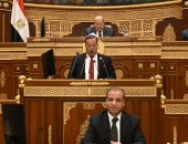 برلمانية الوفد أمام الشيوخ: أنقذوا الصناعات الصغيرة بالريف