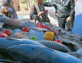 رئيس مركز الداخلة يفتتح منفذ بيع الأسماك البحرية والنيلية مخفضة السعر بمدينة موط