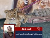 القصة الكاملة للعثور على شبل داخل محطة سفارى جبلية فى الغردقة.. فيديو