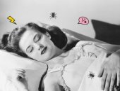 تفسير حلم العناكب على حسب اللون والحجم.. الشعور بالأمان الأبرز