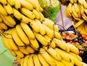 استقرار أسعار الفاكهة فى أسواق بورسعيد اليوم الأربعاء 28-1-2026