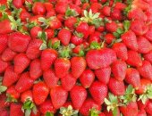 كيف يدعم تناول الفراولة فى الشتاء المناعة وصحة القلب والهضم؟