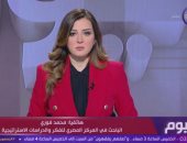 باحث: مصر تتحرك على مستويات عدة في الملفات الليبية والسودانية والفلسطينية