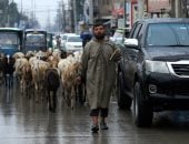 باكستان تحت الصفر.. هطول أمطار غزيرة فى بيشاور 