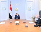 الرئيس السيسي: الذكاء الاصطناعى والرقمنة مجالات رئيسية فى عملية التنمية