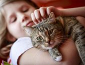 6 أدوات هتسهل حياتك لو قررت تربي قطة.. من مقص الأظافر للألعاب التفاعلية