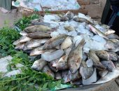 بحيرات باريس فى محافظة الوادى الجديد.. سمك الصحرا طازة وكله فوسفور