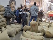 "برتمودا وسكوتى" إقبال على شراء البلح بمنطقة الوكالة بالغربية.. البيع بالجملة للتجار بالمراكز والمدن.. يبدأ العمل فى السابعة صباحا وحتى منتصف الليل.. التجار: الموسم شهد انخفاض 50% بالأسعار مقارنة بالعام الماضى