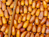 بلح سيوة المميز يزين محلات مطروح فى رمضان.. الأسعار تتراوح من 25-350 جنيه للكيلو.. الصعيدي أشهرها والفريحي والكعيبى متوسط السعر.. المجدول والسكري ودقلة أنواع فاخرة.. و"تطجت وأغرام مغزال" لا يٌباع ويهدى للمقربين