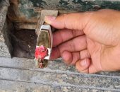 صحة كفر الشيخ: إغلاق 11 منشأة طبية مخالفة فى حملة لإدارة العلاج الحر