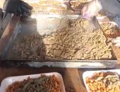 شباب مسيحيون ومسلمون يعدون 1200 وجبة للصائمين بكفر الشيخ.. فيديو