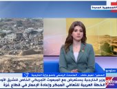 متحدث الخارجية: خطة إعمار غزة تشمل إزالة 50 مليون طن ركام بالمرحلة الأولى