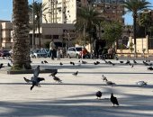 مشاهد مبهجة فى شهر الفرحة بساحة الحمام فى بورسعيد.. فيديو وصور