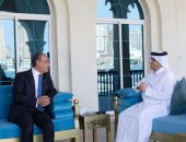 وزير الخارجية يبحث مع رئيس الوزراء القطرى خطة إعادة إعمار غزة
