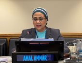 المستشارة أمل عمار: المرأة شريك أصيل فى صنع القرار وستظل فى طليعة الصفوف