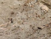 اكتشاف مقابر جماعية لرفات أشخاص أعدموا باليونان.. اعرف الحكاية