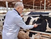 خط سير ومواعيد حملة التحصين ضد الحمى القلاعية والوادى المتصدع بالإسكندرية