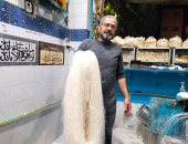 "البتنداوى" أقدم صانع حلويات لشهر رمضان بالقليوبية ينتج 1.5 طن كنافة فى اليوم.. تامر البتنداوي: نصنع كل حلويات شهر الفرحة وتوارثنا المهنة أبا عن جد.. لدينا أقدم صينية لصناعة الكنافة بمصر ولها براءة اختراع.. صور