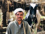 يوم فى حياة مزارعى "أم خنان".. أرض الخير تروى حكاية صمود بالشقرف والفأس.. فيديو