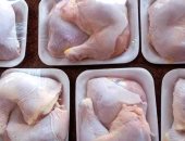 أسعار الدواجن والبط فى أسواق بنى سويف اليوم الإثنين
