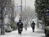 عاصفة ثلجية تضرب العاصمة اليابانية طوكيو