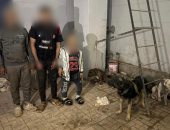 ضبط المتهمين بالمضاربة بالكلاب فى الشوارع
