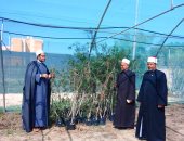 تشجير المساجد بشمال سيناء ضمن مبادرة «100 مليون شجرة».. اعرف التفاصيل
