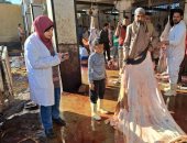 الطب البيطري بسوهاج: المرور على مجزر جزيرة شندويل للتفتيش على رفع المخلفات