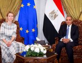 مصر تستضيف اجتماعا للجنة الوزارية العربية الإسلامية المعنية بغزة 