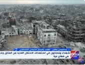 عبد المهدى مطاوع: لا بديل عن القوات الدولية لوقف الانتهاكات الإسرائيلية بغزة