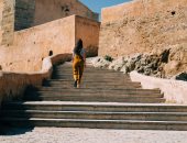 اكتشف العالم مع تيك توك.. دليلك الجديد للتخطيط لمغامراتك!