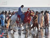 الخروج إلى الشواطئ وركوب الخيل.. احتفالات باكستان بثالث أيام العيد